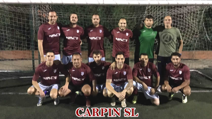 CAMPEON COPA APERTURA PLATINO; ZONA SUR DIARIO